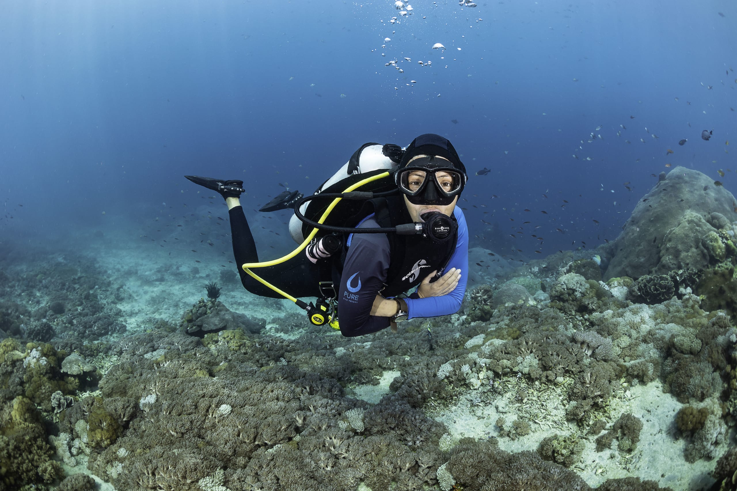 Front Page -Surfing Equipment Sales 2024 BrookePykePhotography